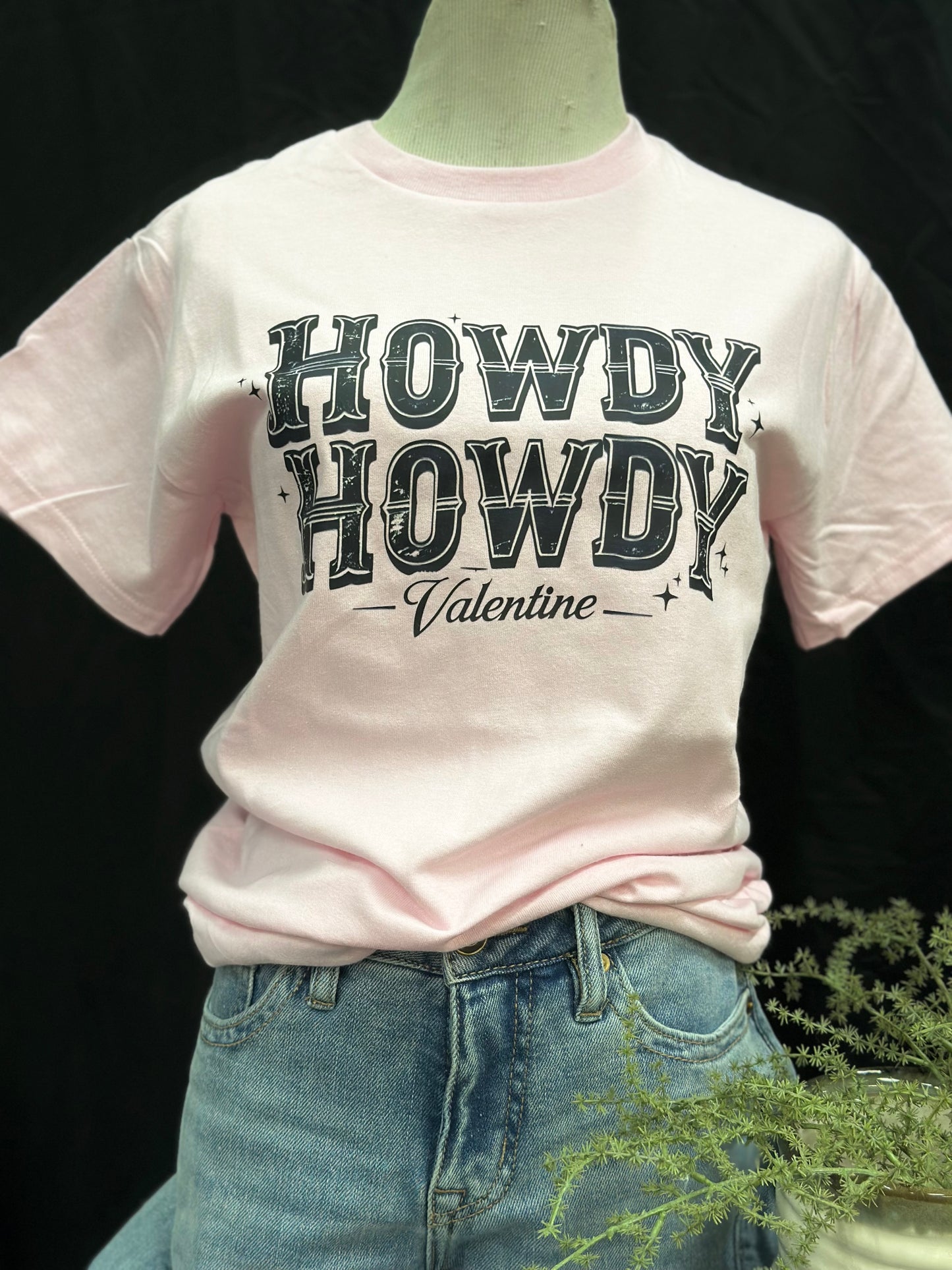 Howdy Howdy Valentine Graphic T-Shirt