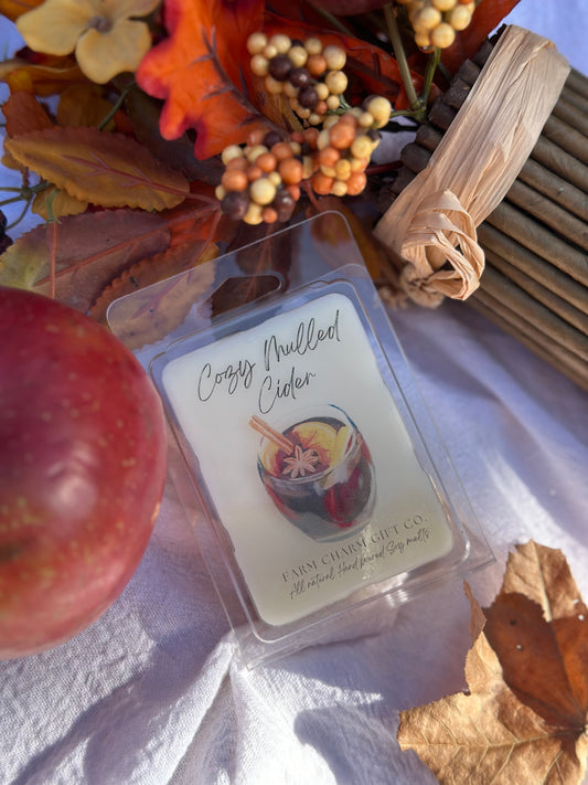 Cozy Mulled Cider Natural Soy Melt